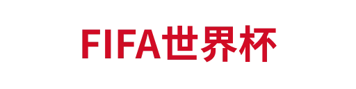 FIFA世界杯